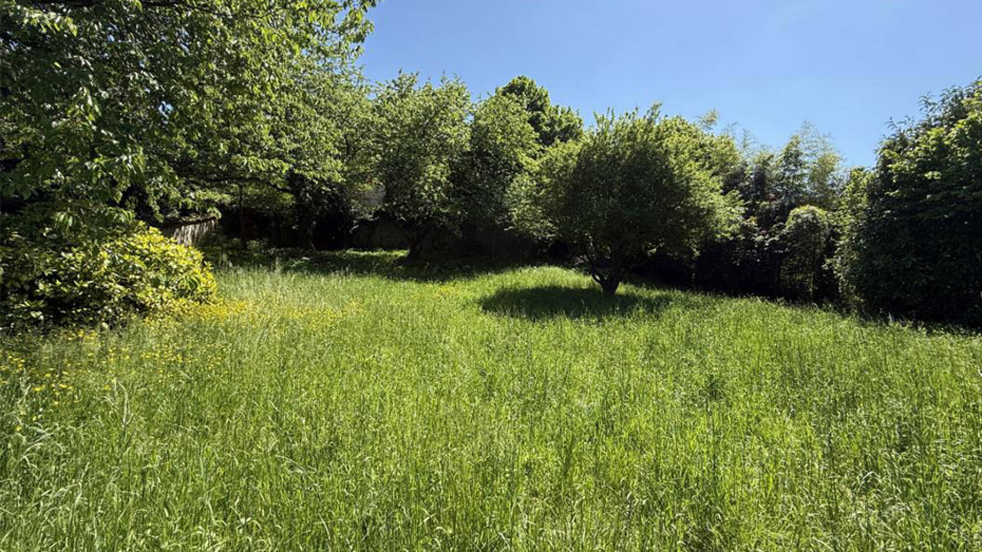 Terrain à bâtir à Curis-au-Mont-d'Or à Curis-au-Mont-d'Or (69) | Maisons Alain Métral